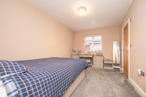 THE CONIFERS- click for photo gallery